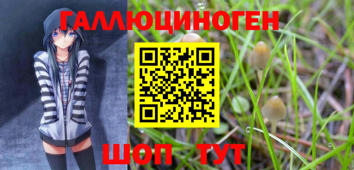 Псилоцибиновые грибы Psilocybe  Вход с VPN  Шатура 